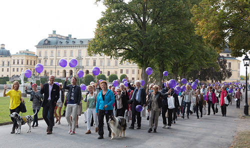 bild från Drottningholm