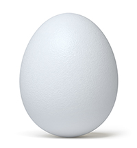 bild på ägg